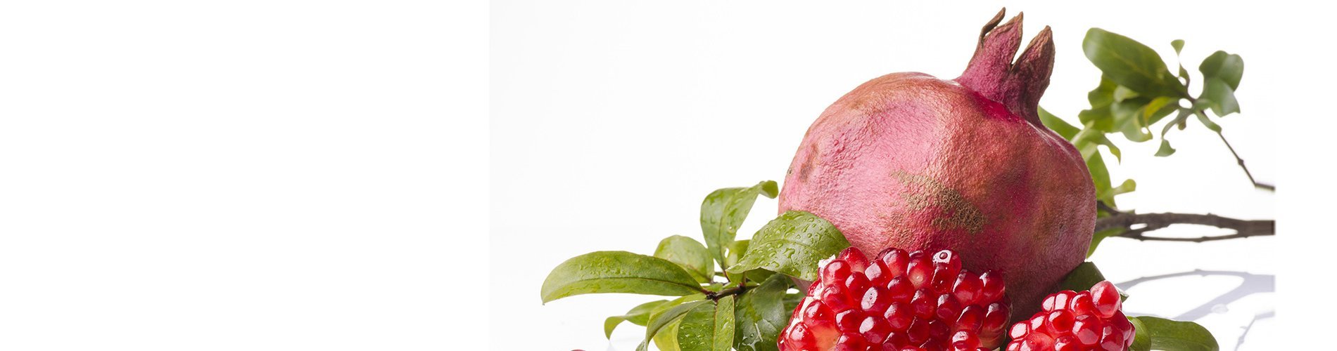 Yalda Mubarak