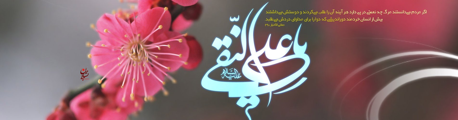 The Auspicious Birth of Imam Ali al-Hadi (PBUH)