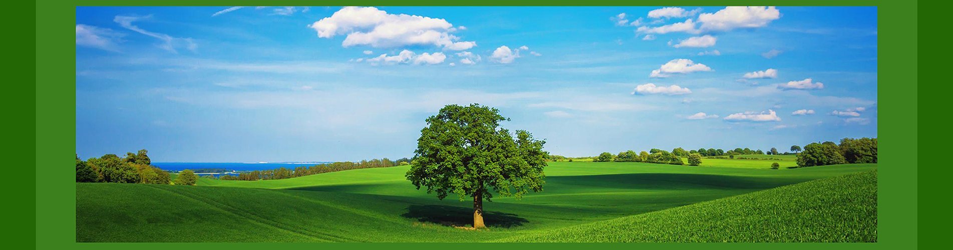 Arbor Day